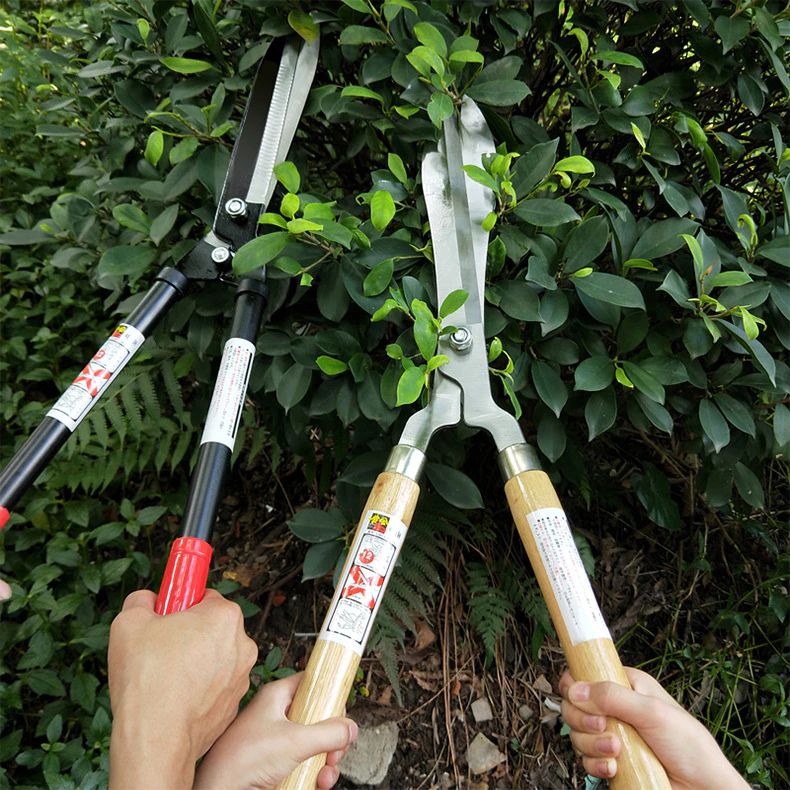 Tesoura de Poda Grama Jardim Cerca Viva Oferta Cerca-viva Tesourão Jardinagem Cabo Madeira — imagem 2 de 2