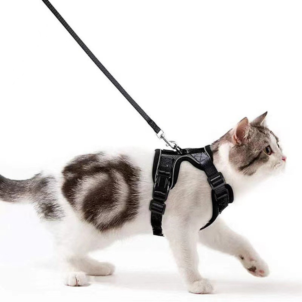 Guia para Gatos com Colete e Faixa Refletiva para Visibilidade Noturna. Consulte a Tabela de Tamanhos.Seguro e Level
