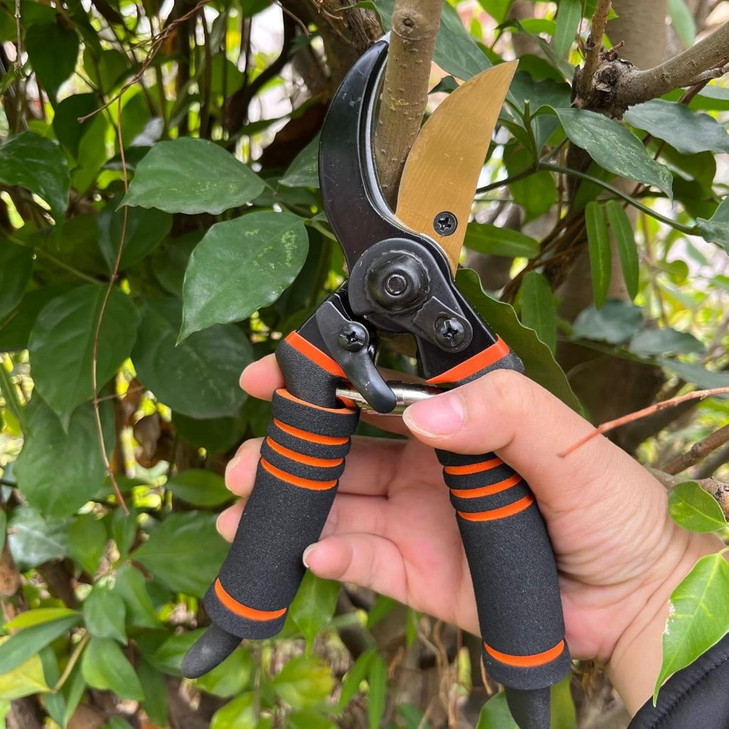 TESOURA DE PODA COM LÂMINA EM TITÂNIO 8''