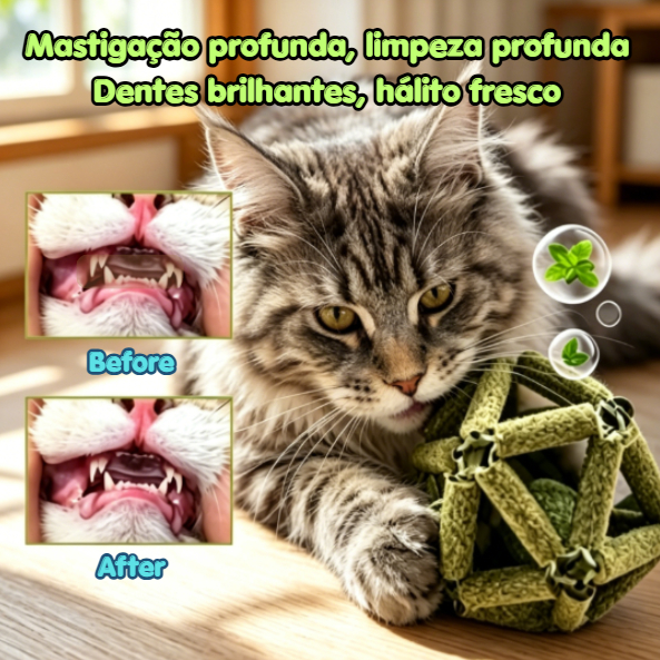 Bola de catnip, brinquedo para gatos que estimula a higiene bucal, limpa os dentes e é resistente a mordidas.