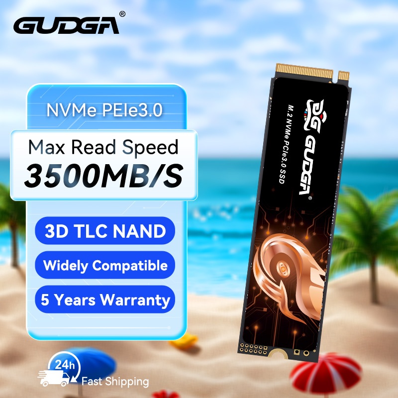 GUDGA SSD M2 NVME PCLE 3.0 * 4 128GB 256GB 512GB 1TB Velocidade De Leitura Máxima 3500 Mb/S Unidade De Estado Sólido Par