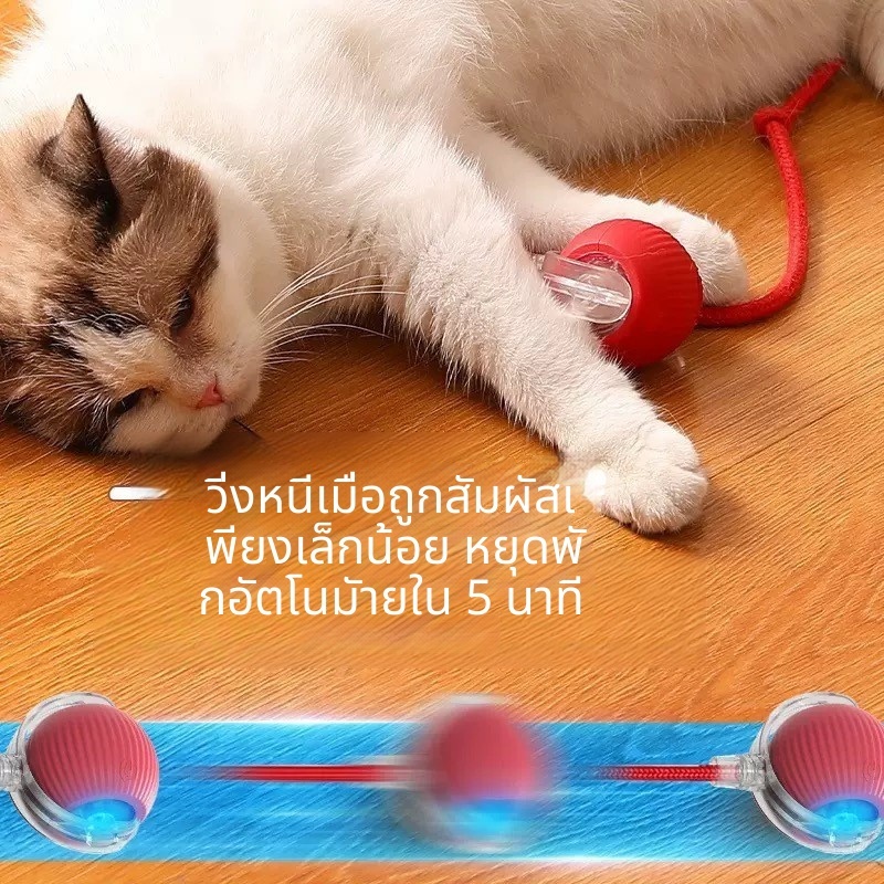 ลูกบอลของเล่นแมว ทนทานกัด มีเชือก อัตโนมัติกระโดดโต้ตอบ คลายเครียดคลายเหงา เหมาะให้แมวเล่นในบ้าน - ภาพที่ 5