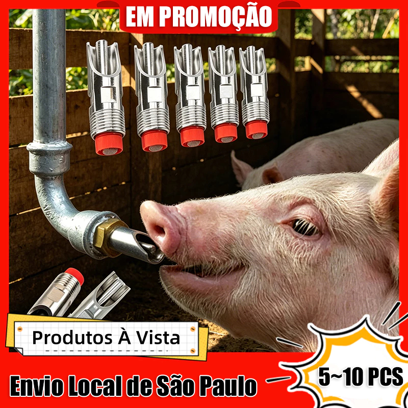5~10 PCS Bebedouro Bico Chupeta Bebedouro Porco Automático Terminação Inox
