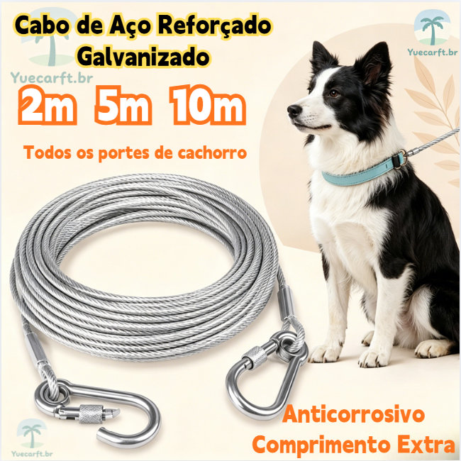 Cabo de Aço com Revestimento Cristal, Amarração e Guia para Cães | 2M 5M 10M Multifuncional