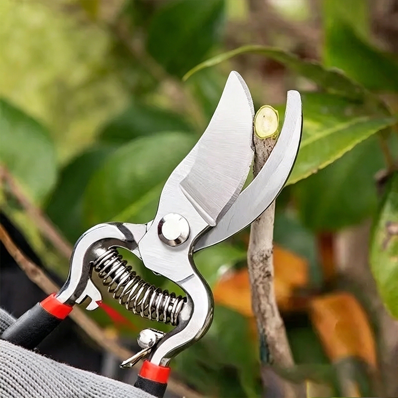 Tesoura De Poda De Aço De Alto Carbono , Cortador De Jardim De Primavera Que Economiza Trabalho Resistente Para Bonsai D