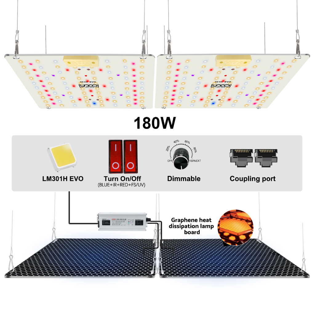 Grow LED light LM301H EVO 85W 120W 150W 180W Para Jardinagem Interna E Agricultura