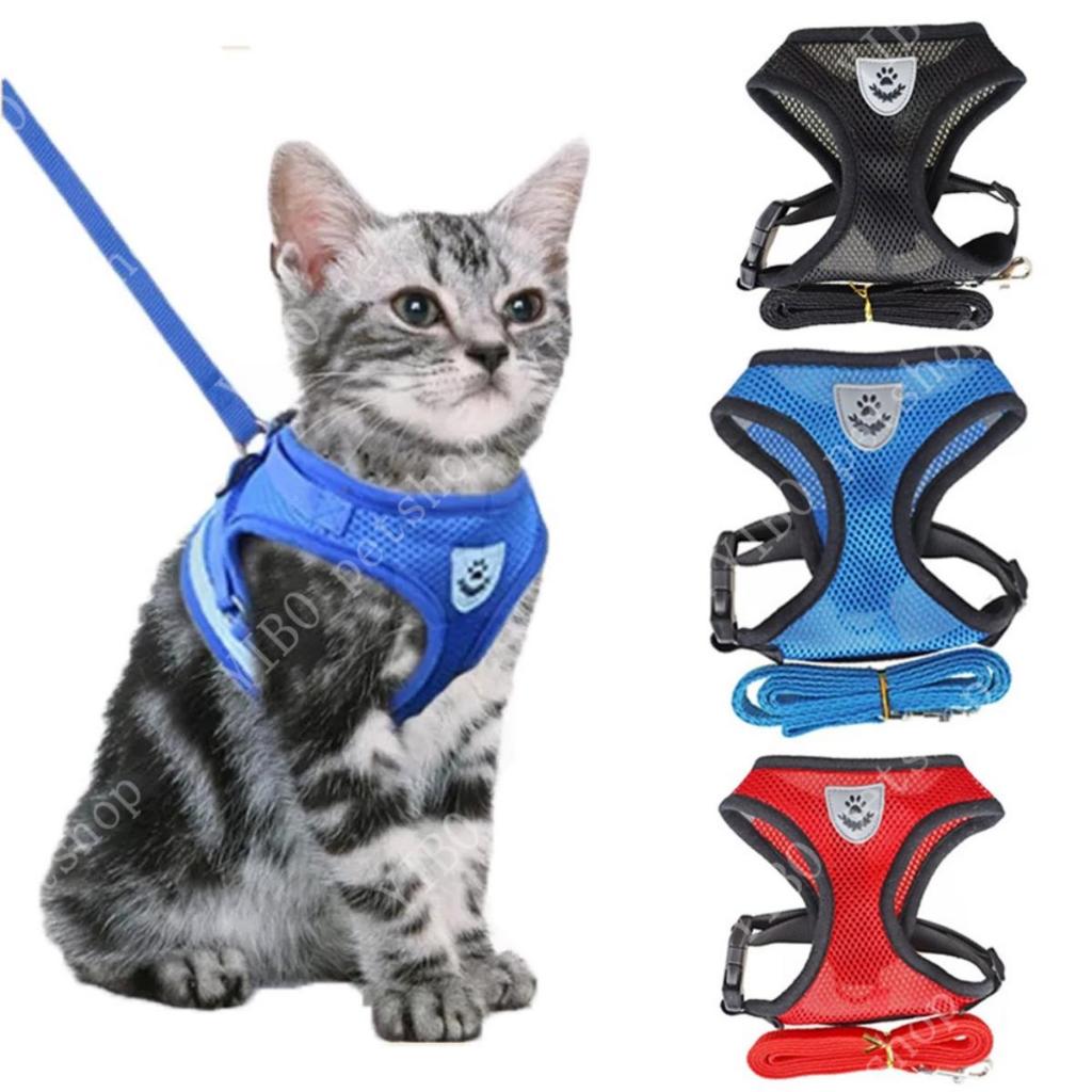 Cão Gato Filhote De Cachorro Pet Arnês Malha Colar Trela Cinta Conjunto Completo