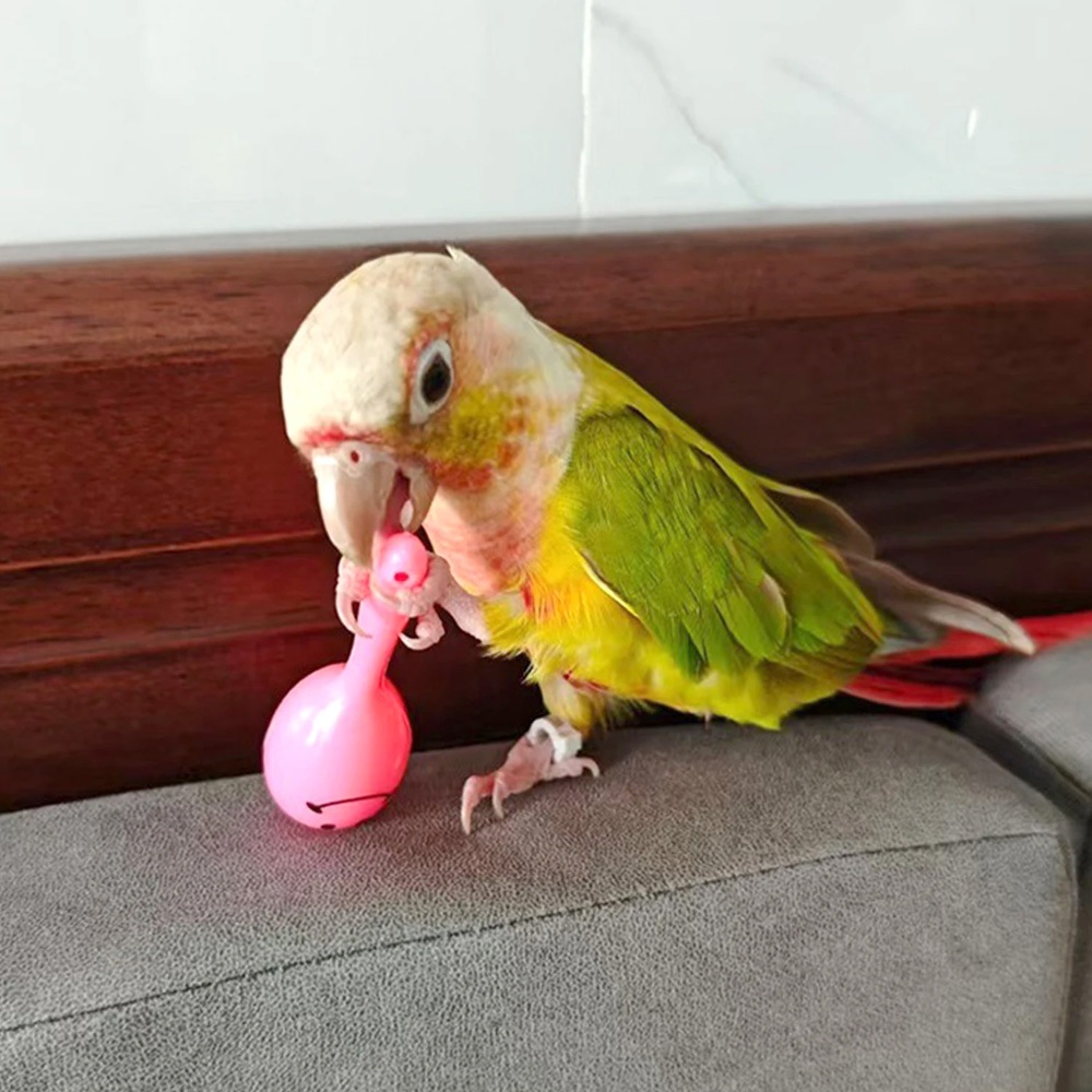 1/2/6 Pçs Papagaio Pássaro Brinquedos Chocalho Sino Areia Martelo Maracas Mastigar Interativos Pendurados Para Pequenos — imagem 2 de 2
