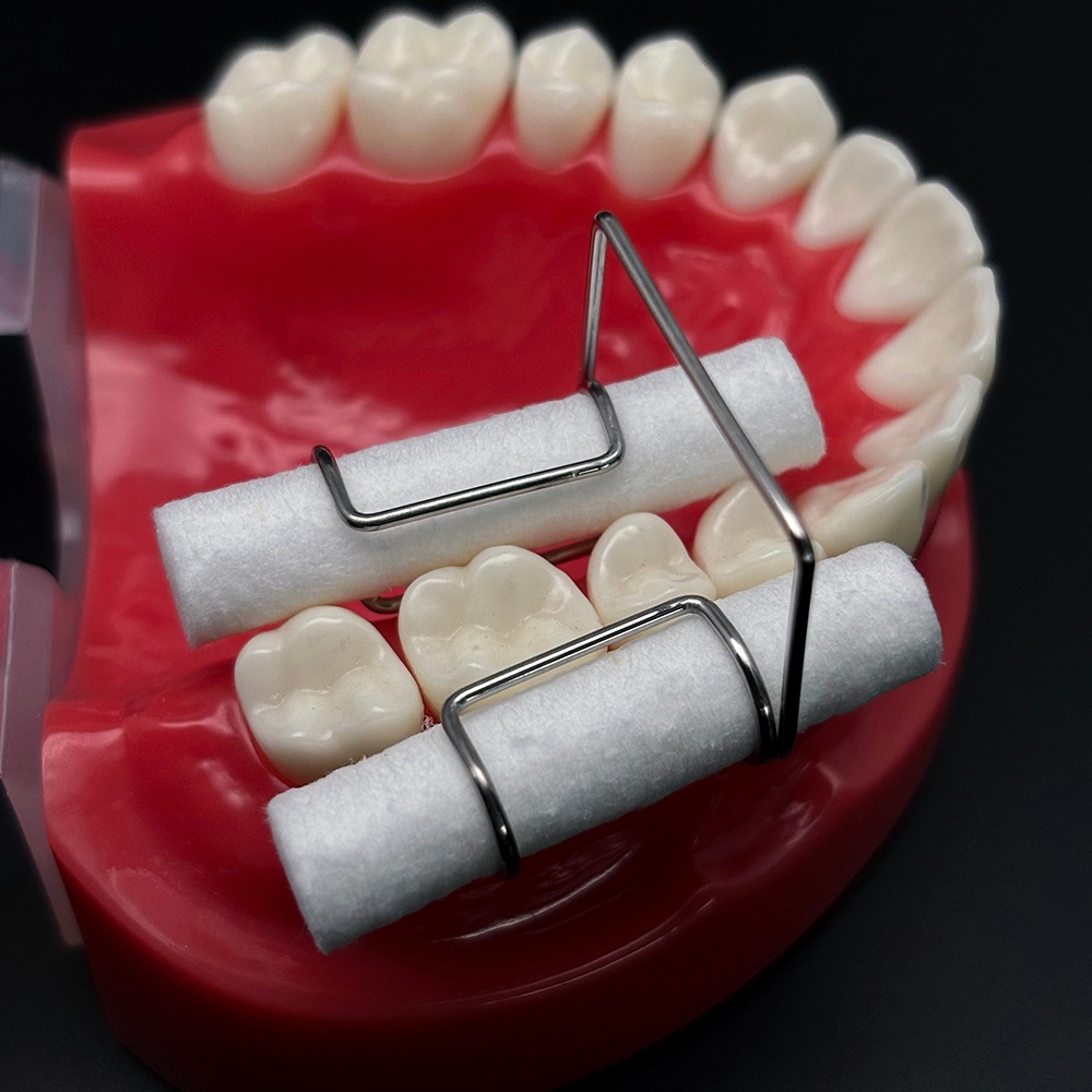 Clipe De Umidade Dental De Aço Inoxidável , 4 Unidades , Suporte De Rolo De Algodão Autoclavável , Fornecedor De Laborat — imagem 2 de 2