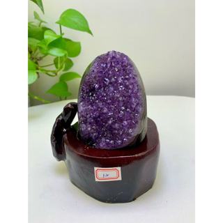 Peso 1.2kg Uruguai de Alta Qualidade Caverna de Ametista Natural Cluster de Ametista Minério Cru Sem Cimento Reunindo Ri