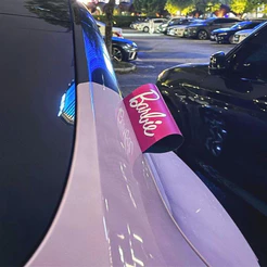 Adesivo Personalizado Rosa para Carro, Adesivo de Etiqueta para Lavagem de Carro
