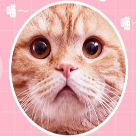 HIppets Authorized Store