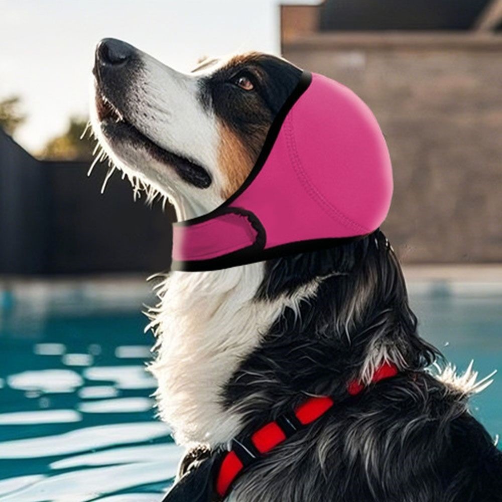 Bernardo Loja de Marca