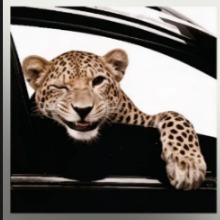 Aaron Hobbies e Coleções Loja