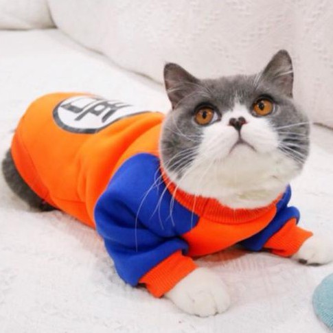 Roupa pet Dragon ball moletom goku para gatos ou cachorros de pequenos  - fantasia anime moletom