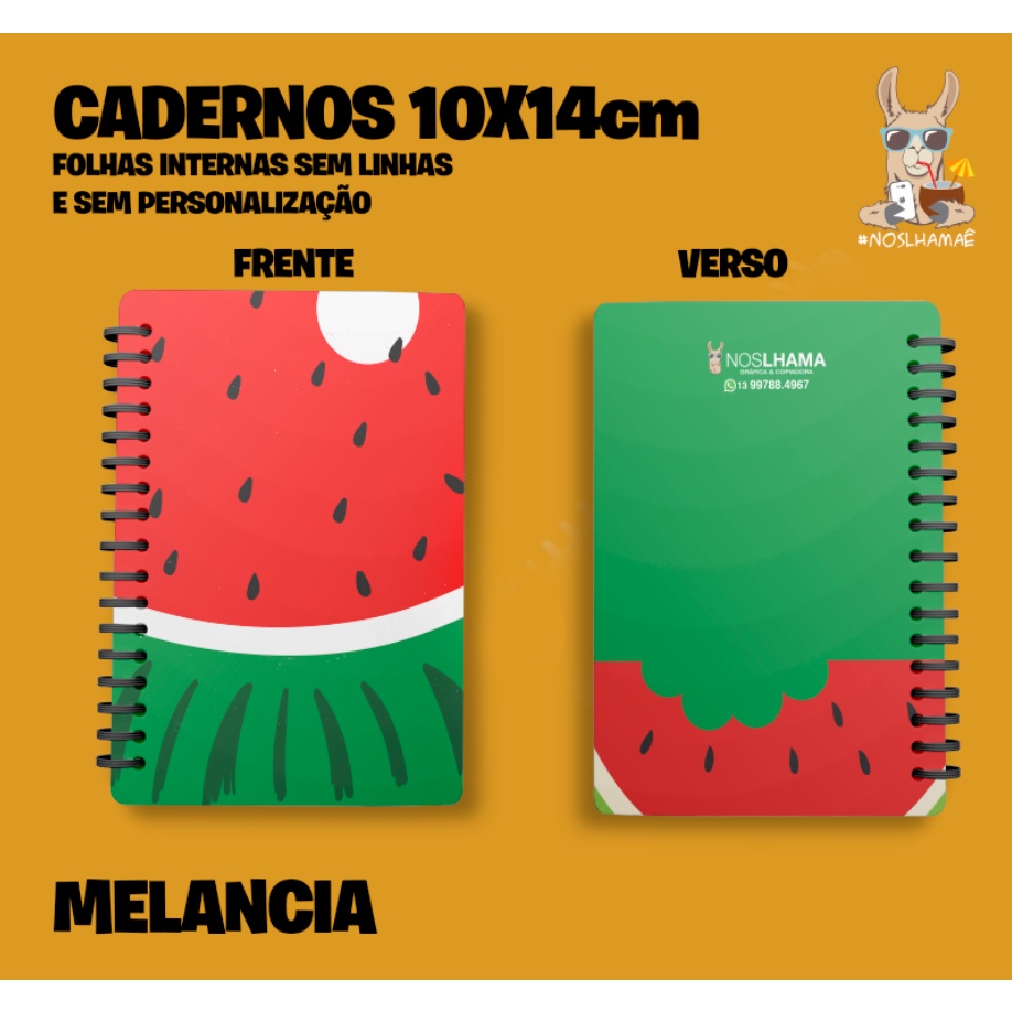 Caderno 10x14 Capa Dura Diversos SEM PAUTA