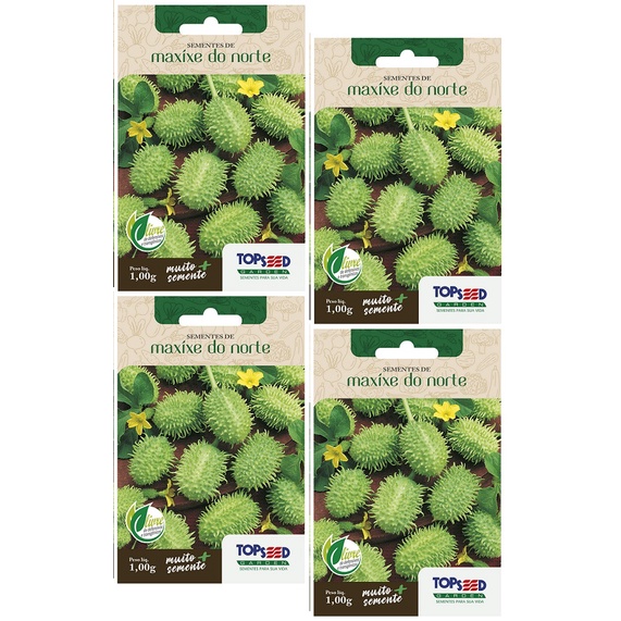 4X Sementes Maxixe Do Norte TOPSEED