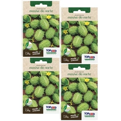 4X Sementes Maxixe Do Norte TOPSEED
