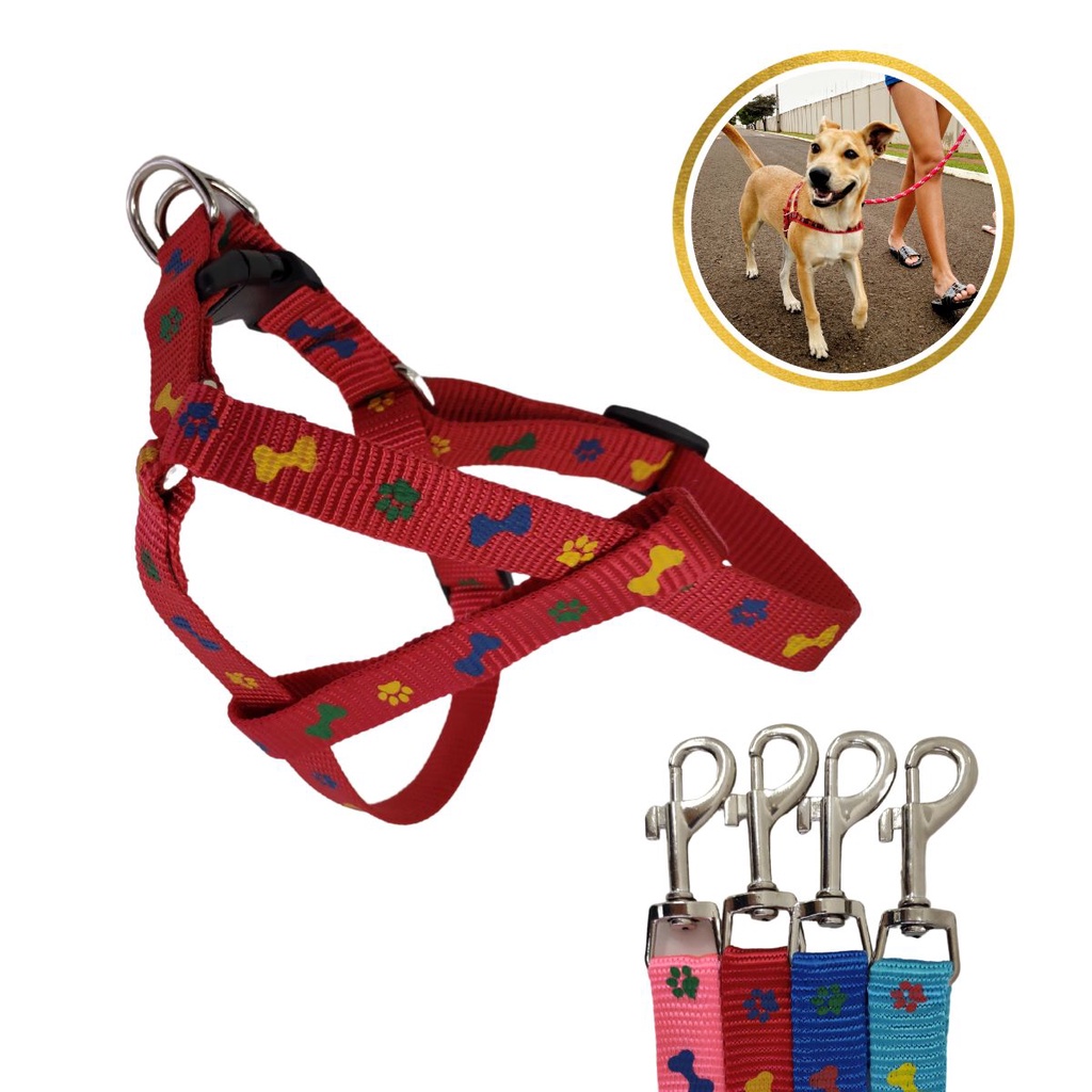 Guia para Cães de Pequeno Porte: Onde Comprar | BuscaProdutos