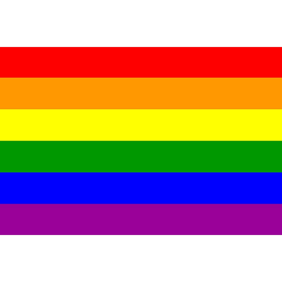 Poster Bandeira Arco Ris S Mbolo Lgbt Gay Pride Shopee Brasil