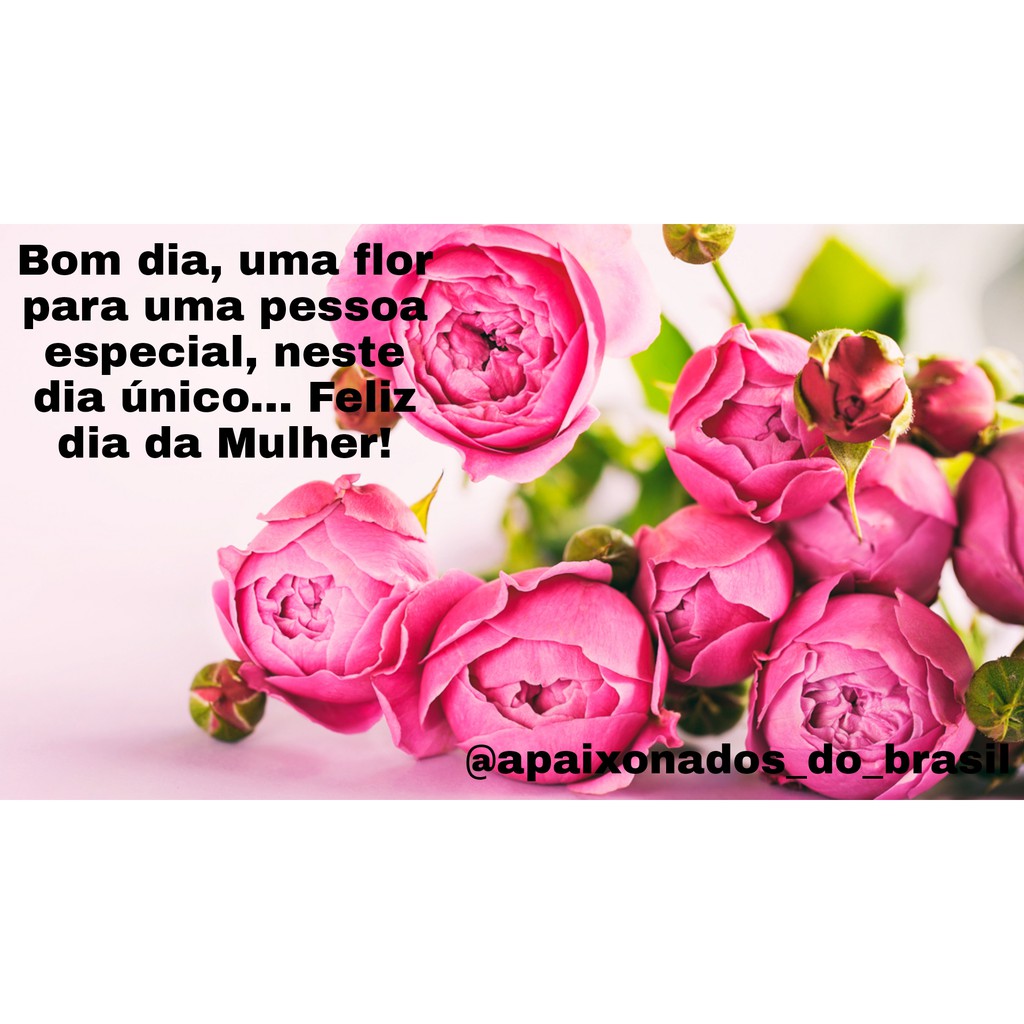 Canecas personalizadas | Shopee Brasil