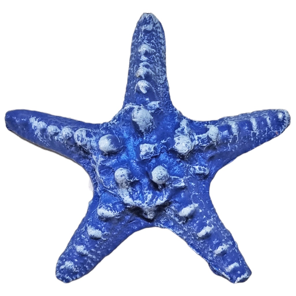 Estrela Do Mar Resina P/ Pendurar Parede Pousada Praia Casa