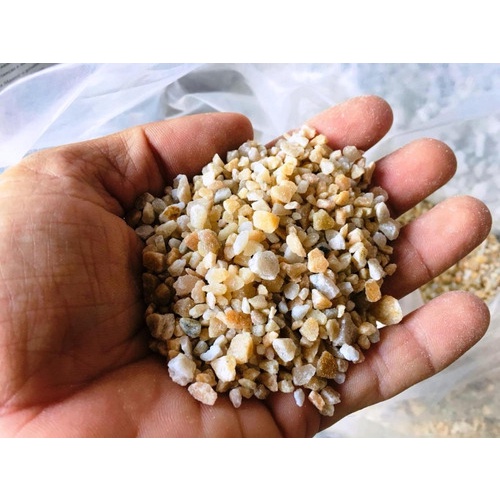 PEDRISCO TOP GRANILHA N°0 PALHA (Pedra ornamental, Pedrinha para suculentas, Bonsai, cactos e decorações)