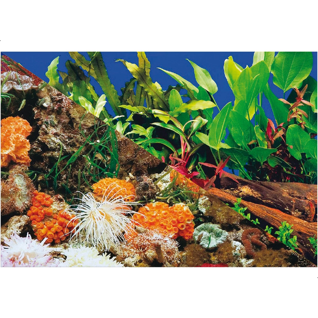 Enfeite Painel Imagem Para Aquario Doce Marinho 30x30cm N°1