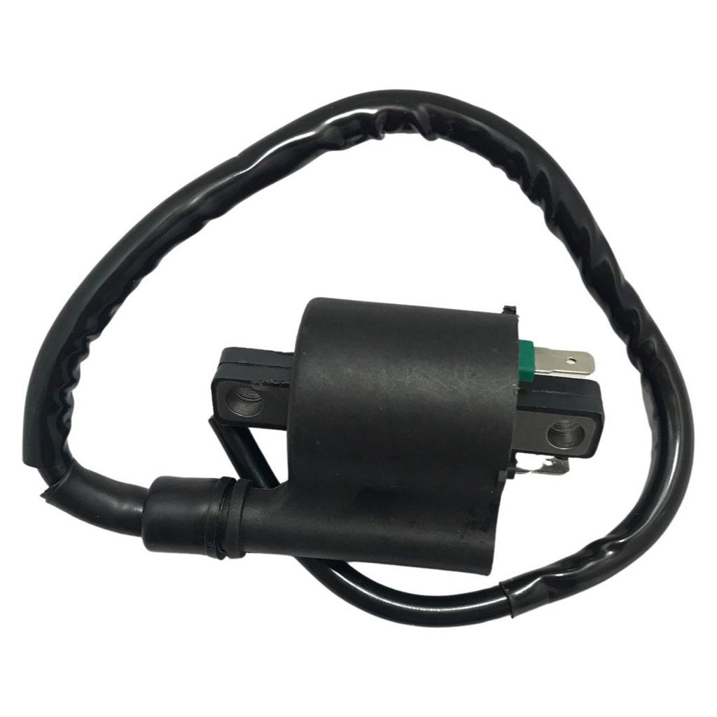 Bobina Faisca Cg Titan 150: Onde Comprar | BuscaProdutos