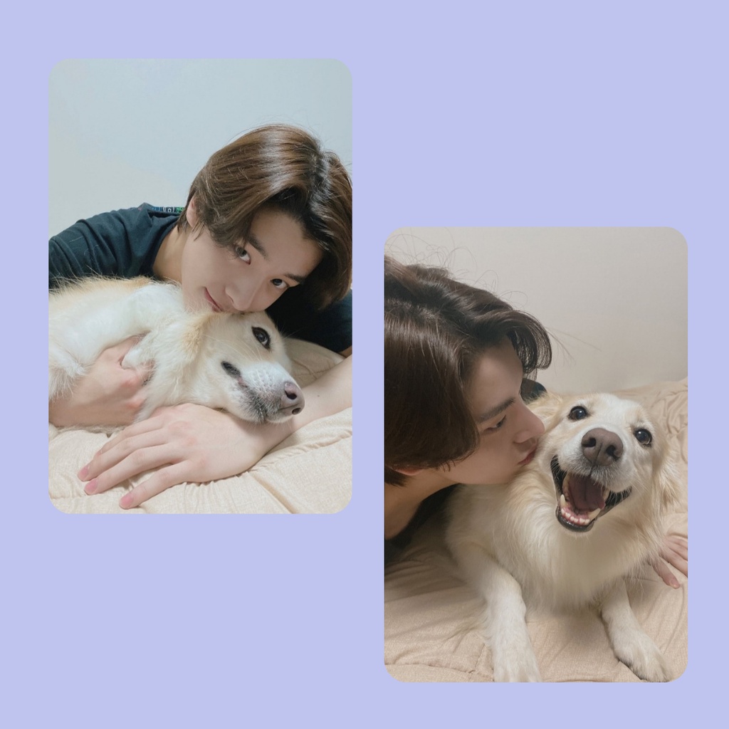 Enhypen Jake Photocard Card Jake K-pop | Shopee Brasil