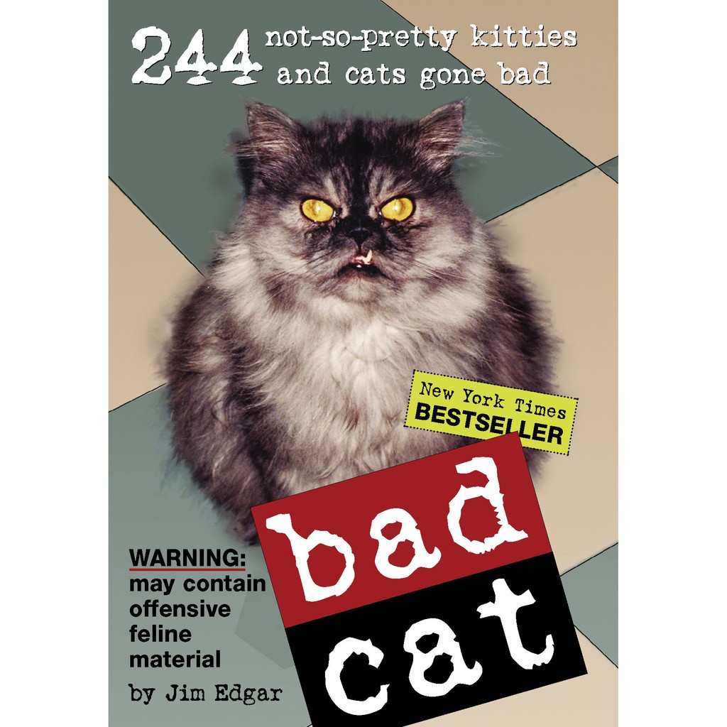 Livro Bad Cat gato Jim Edgar