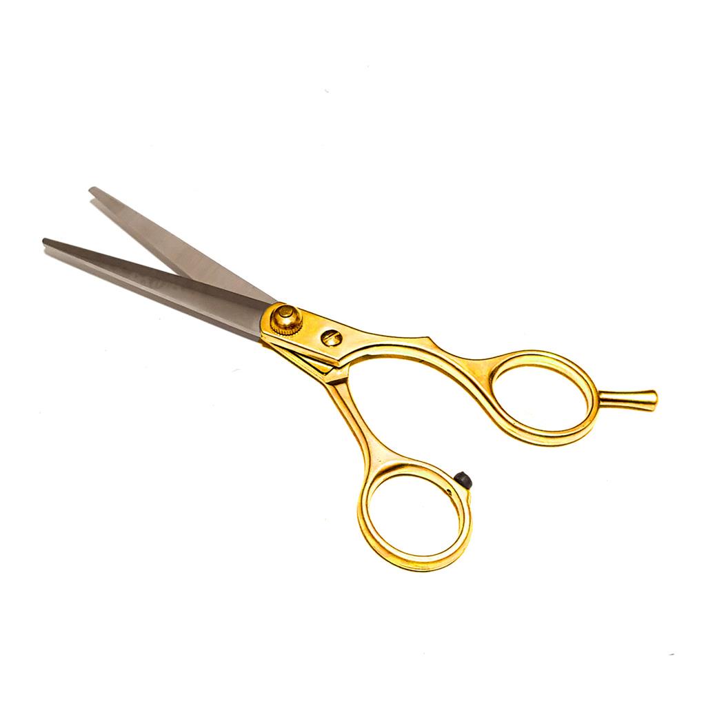 Tesoura 6.0 Fio Laser Profissional Inox Style Barba E Cabelo