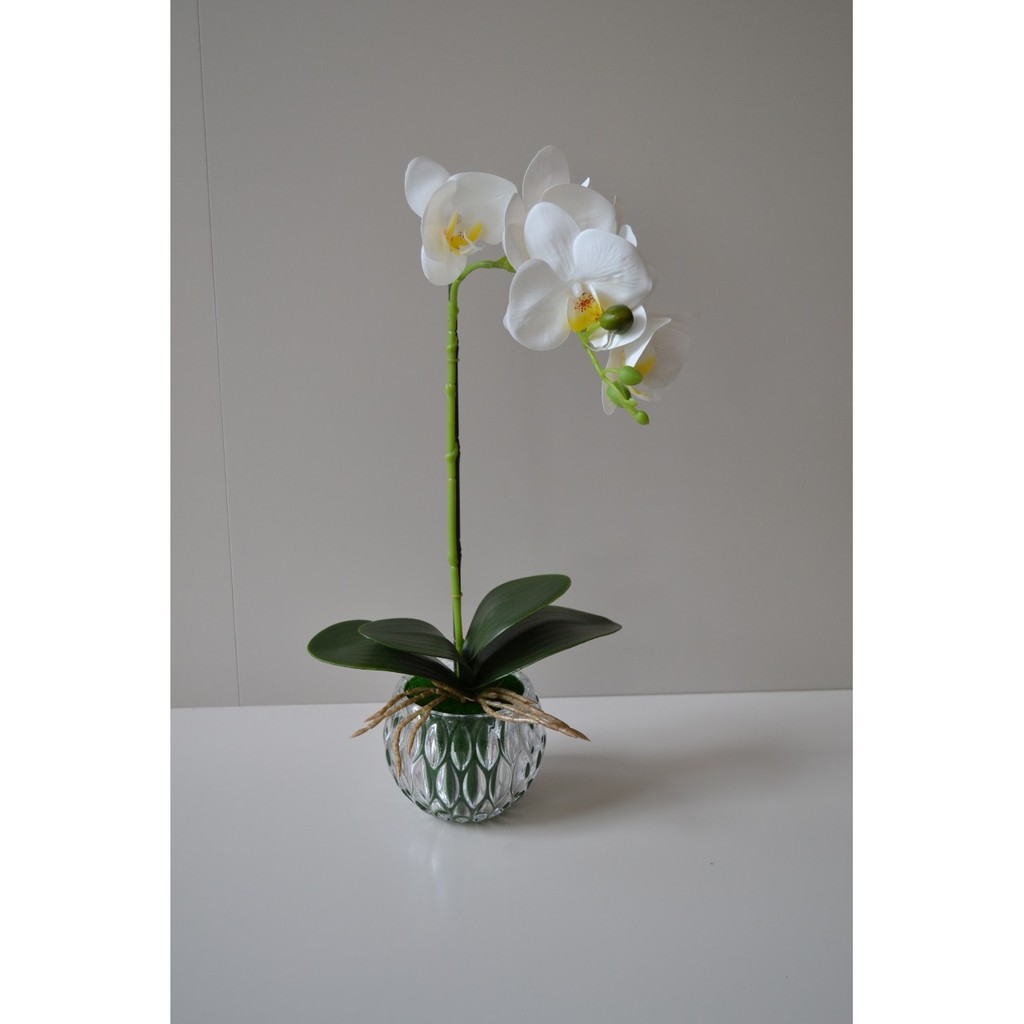 Arranjo de mesa Orquídea. | Shopee Brasil