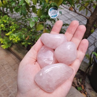 Quartzo Rosa Pedra Natural Rolada Polida em Oferta na Shopee