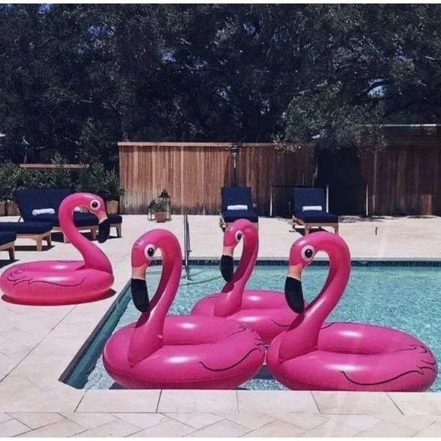 Boia Inflável Sensacao Flamingo 90cm  D Diâmetro Piscina Rosa