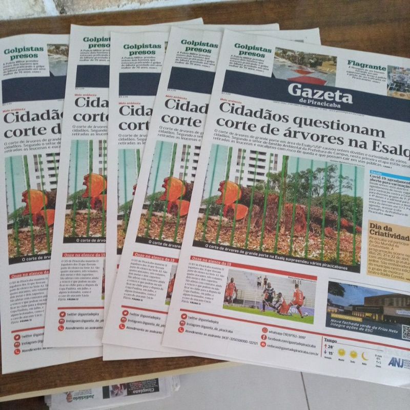 Jornal para pet m 56x43 cm  - 1 kg