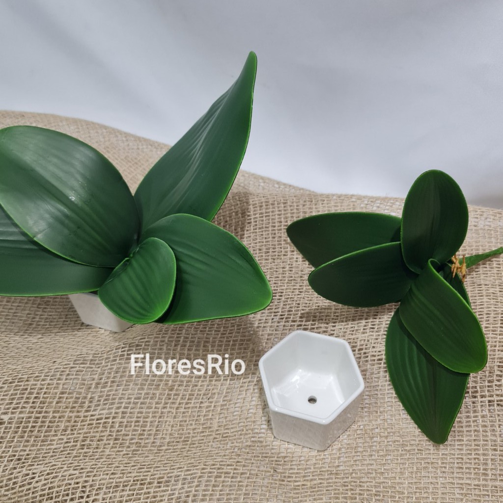 Folha de Orquídea Artificial Floral Folhagem P/ Decoração Casamento,  Arranjos, Decorar Festas mato e planta verde | Shopee Brasil
