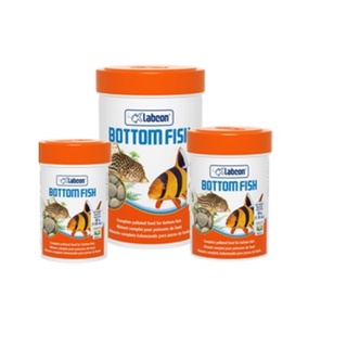 Ração Para Peixe Alcon Bottom Fish.