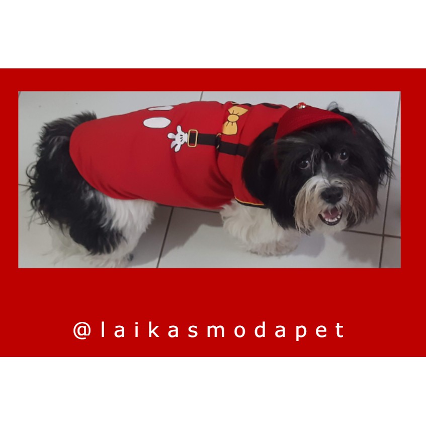 Fantasia pra cachorro Mickey