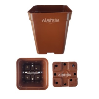100 Vasos Quadrado 9 para organizar Plantas Suculentas Cactos - Marrom em Oferta na Shopee