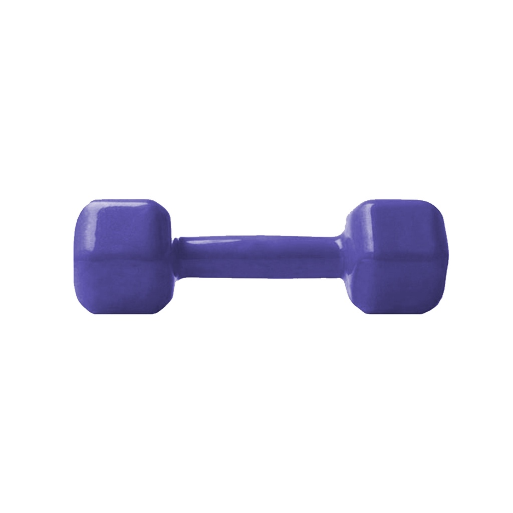 Halter Sextavado 1kg Emborrachado PVC