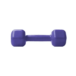 Halter Sextavado 1kg Emborrachado PVC