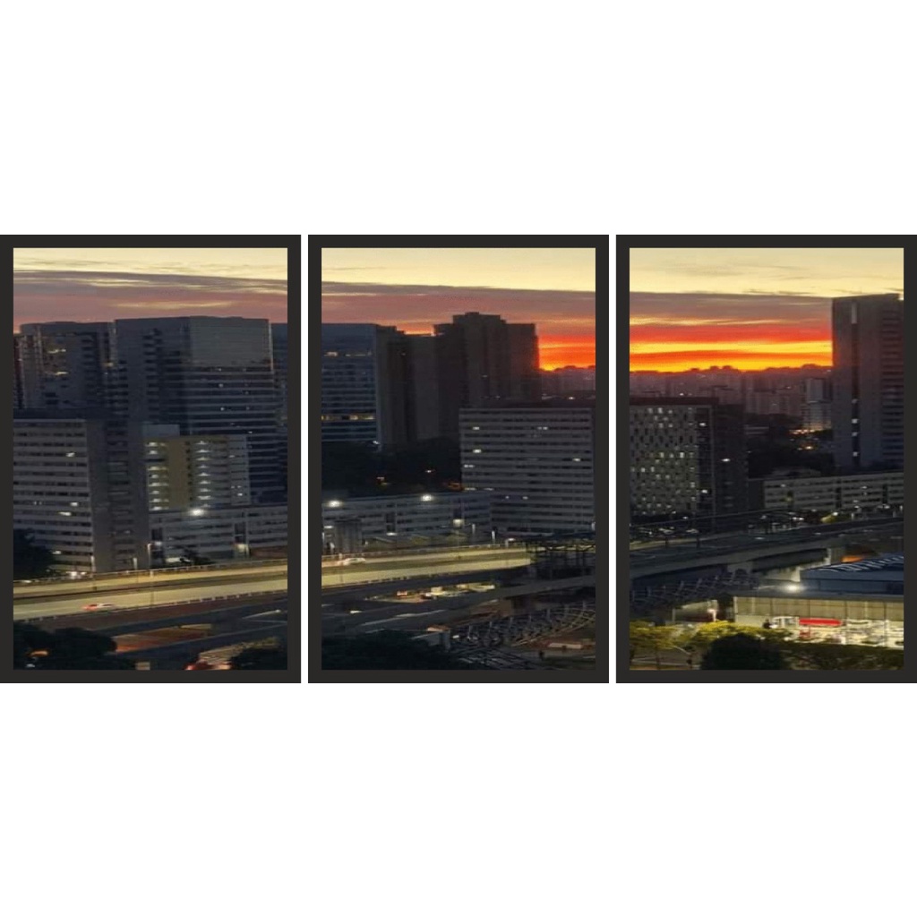 2 Quadros imagem cidade de SÃO PAULO