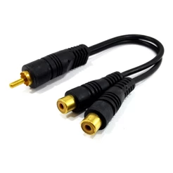 Cabo Rca Y 1m/2f Preto - Banhado A Ouro - 1 Macho / 2 Femeas