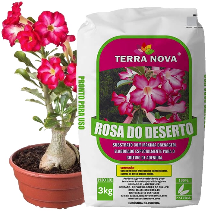Substrato para rosa do deserto Terra Nova | Shopee Brasil