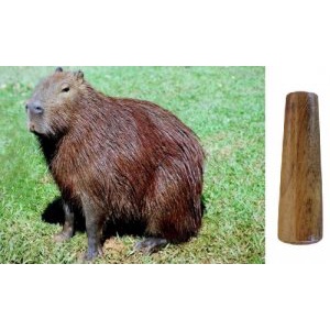 Apito Pio De Madeira Pio Profissional Capivara Cod 34