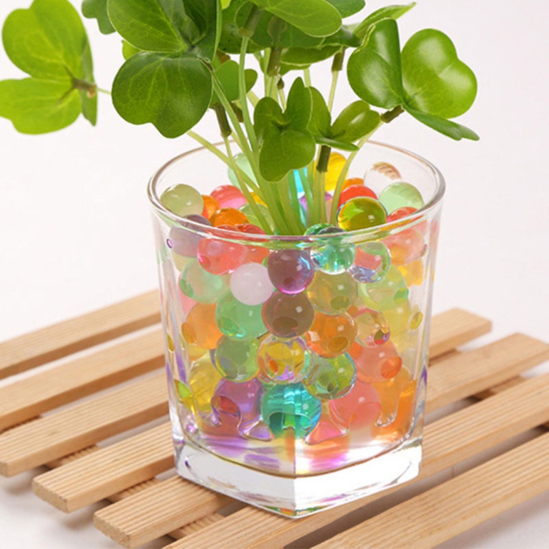 Brinquedo Bichinhos que Crescem na Água: Onde Comprar | BuscaProdutos