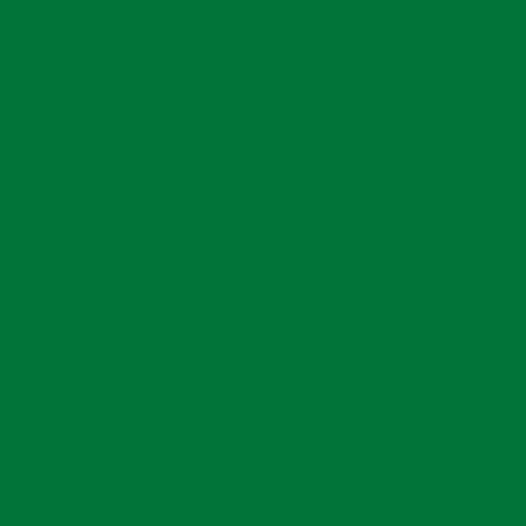 Papel Color Plus - Verde Bandeira - Brasil (10UN)