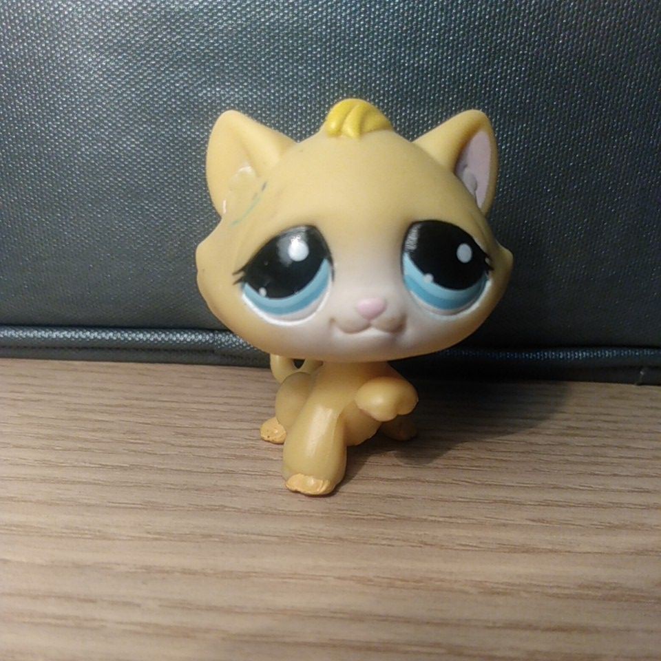 Littlest pet shop tabby cat amarela Shopee Brasil
