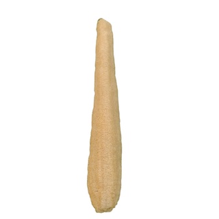 Bucha vegetal Natural Inteira banho esfoliante